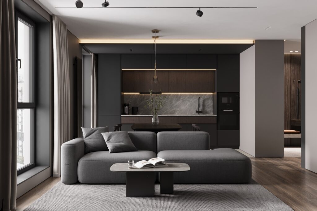 Living room + kitchen